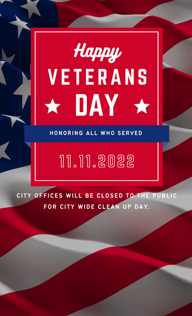 veterans day graphic